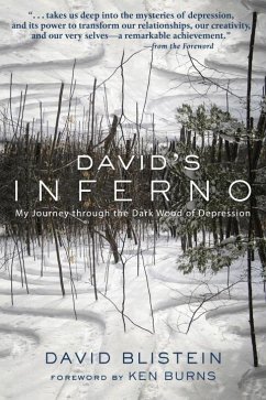 David's Inferno (eBook, ePUB) - Blistein, David