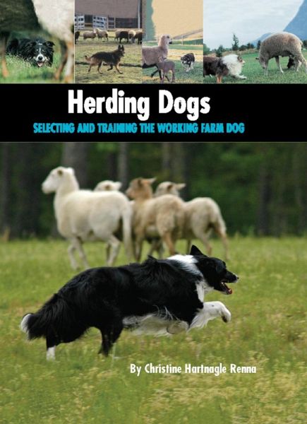 Herding Dogs (eBook, ePUB)