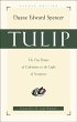 Tulip (eBook, ePUB) - Bild 1