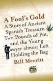 A Fool's Gold (eBook, ePUB)