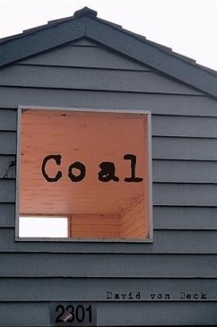 Coal (eBook, ePUB) - Beck, David von