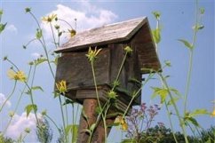 Cover House Be Dirty! House Be Cleaned! (eBook, ePUB)