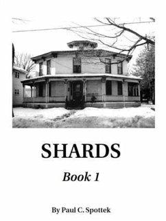 Cover SHARDS (eBook, ePUB)