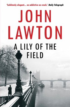 A Lily of the Field (eBook, ePUB) - Lawton, John