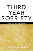 Third Year Sobriety (eBook, ePUB)