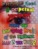 Rising Flood of Perpetual Thought from the Annoying Brain of the Ugliest Man in the World 2 (eBook, ePUB)