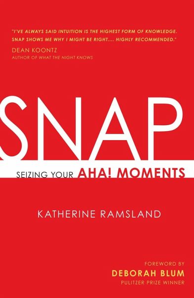 SNAP (eBook, ePUB)
