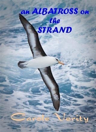 Albatross on the Strand (eBook, ePUB)