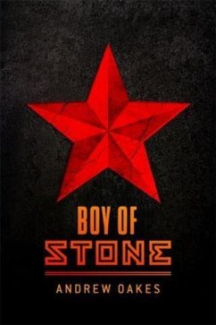 Cover Boy of Stone (eBook, ePUB)