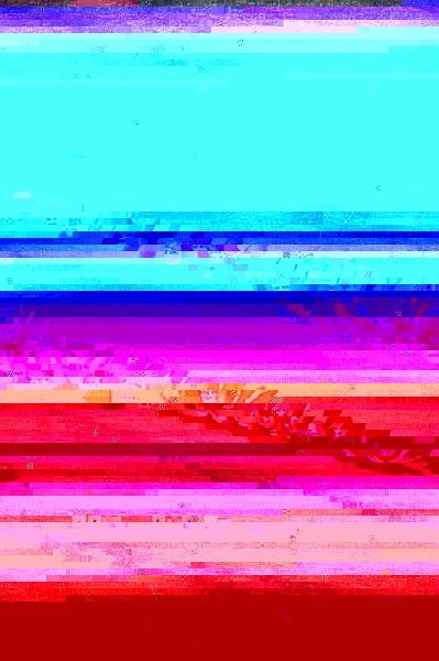 Impassioned (eBook, ePUB)