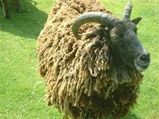 Fattest Book of Fat Quotes (Ever)? (eBook, ePUB)