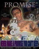 PROMISE (eBook, ePUB)