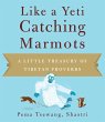 Like a Yeti Catching Marmots (eBook,... - Bild 1