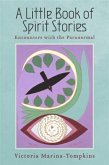 Little Book Of Spirit Stories (eBook, ePUB)