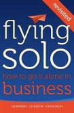 Flying Solo: How To Go It Alone in Business Revisited (eBook, ePUB)