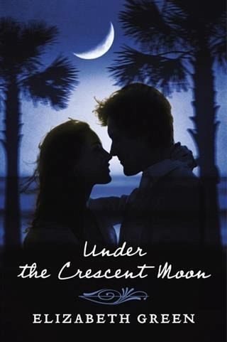Under the Crescent Moon (eBook, ePUB)