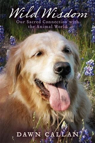 Wild Wisdom (eBook, ePUB)