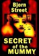 Secret of the Mummy (eBook, ePUB) - Bild 1