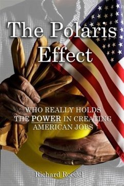 Polaris Effect (eBook, ePUB) - Roedel, Richard