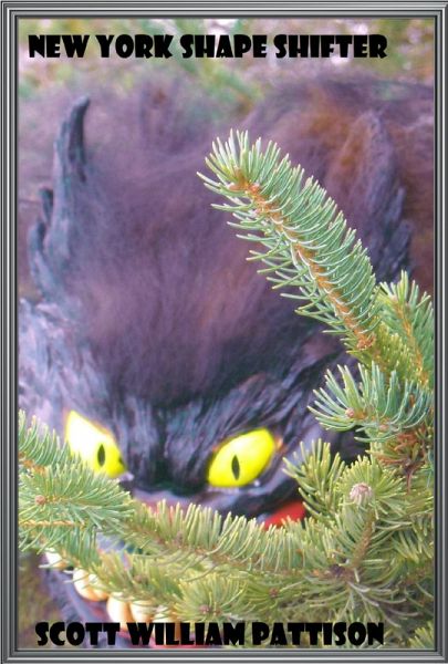 New York Shape Shifter (eBook, ePUB)