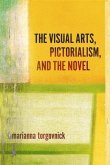 Visual Arts, Pictorialism, And The Novel (eBook, ePUB)