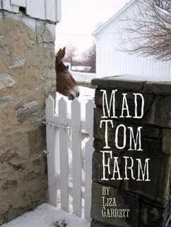 Mad Tom Farm (eBook, ePUB) - Garrett, Liza