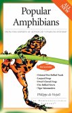 Popular Amphibians (eBook, ePUB)