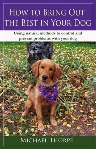 How to Bring Out the Best in Your Dog (eBook, ePUB)