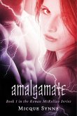 Amalgamate (eBook, ePUB)