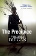 The Precipice (eBook, ePUB) - Bild 1