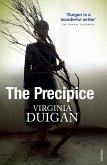 The Precipice (eBook, ePUB)