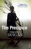 The Precipice (eBook, ePUB) The Precipice (eBook, ePUB)