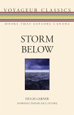 Storm Below (eBook, ePUB)