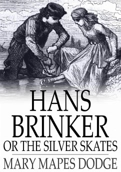 Cover Hans Brinker (eBook, ePUB)