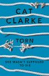 Torn (eBook, ePUB) - Bild 1