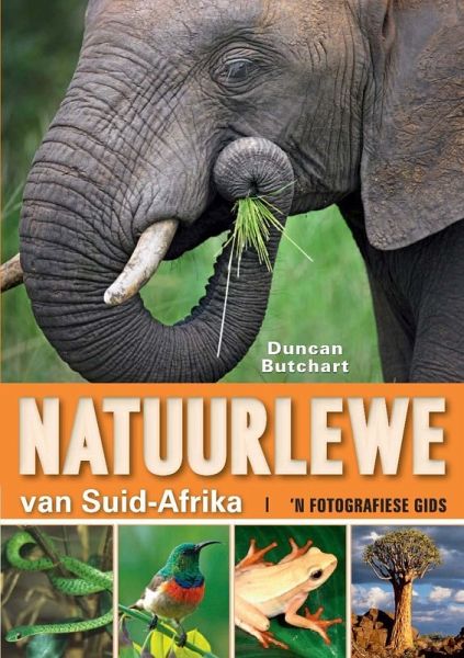 Natuurlewe van Suid-Afrika 'n Fotografiese Gids (eBook, PDF)