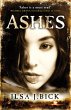 Ashes (eBook, ePUB) - Bild 1