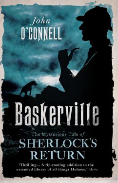 The Baskerville Legacy: A Confession (eBook, ePUB) - O'Connell, John