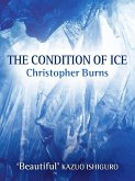 The Condition of Ice (eBook, ePUB)