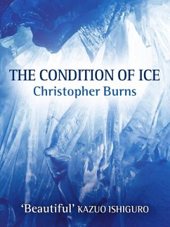 Cover The Condition of Ice (eBook, ePUB)