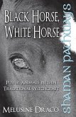 Shaman Pathways - Black Horse, White Horse (eBook, ePUB)