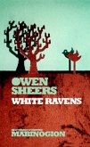 White Ravens (eBook, ePUB)