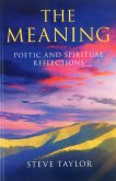 Meaning (eBook, ePUB)