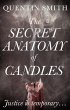 Secret Anatomy of Candles (eBook, ePUB) - Bild 1