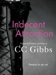 Indecent Attraction (eBook, ePUB) - Bild 1