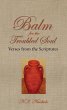Balm for the Troubled Soul (eBook, ePUB) - Bild 1