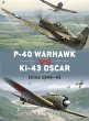 P-40 Warhawk vs Ki-43 Oscar (eBook, PDF) - Bild 1