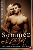 Sommer Lovin' (eBook, PDF)