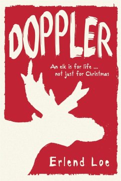 Doppler (eBook, ePUB) - Loe, Erlend