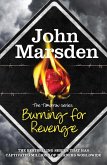 Burning for Revenge (eBook, ePUB)